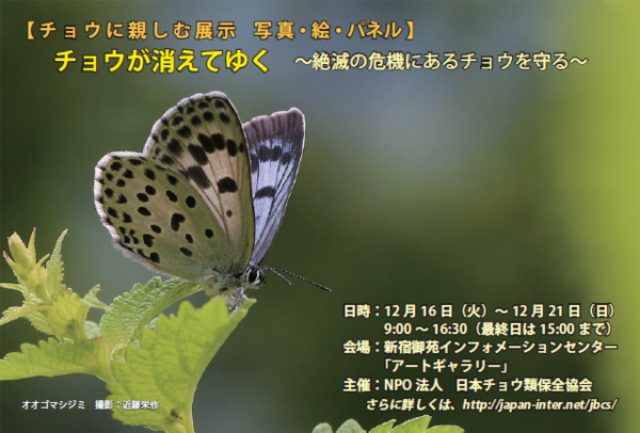 d0313296_9242482.png