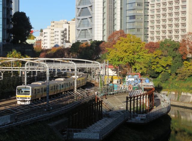 御茶ノ水の大銀杏_f0084703_1851622.jpg