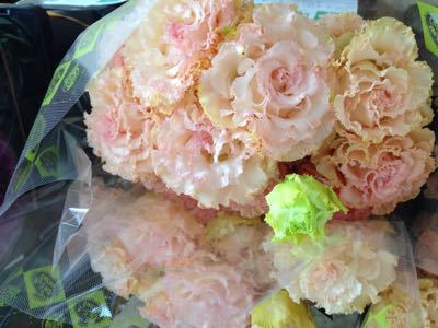 出荷終了です!_d0099708_20555378.jpg