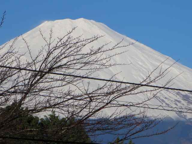 b0282409_15552698.jpg