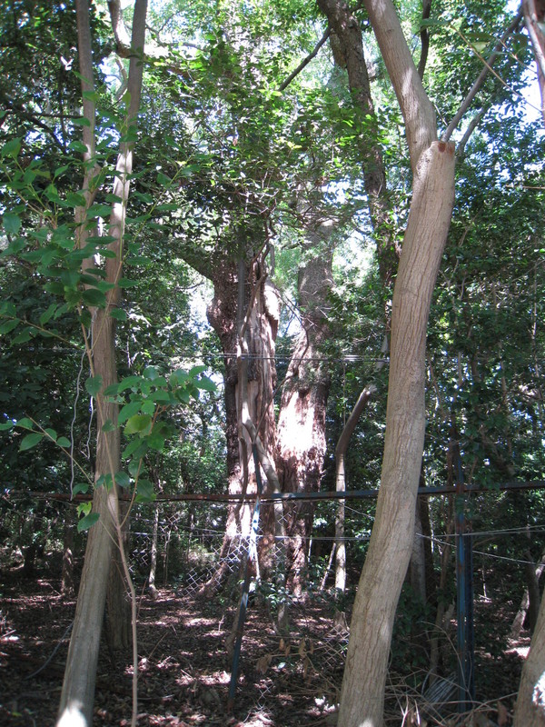 d0287413_11413930.jpg