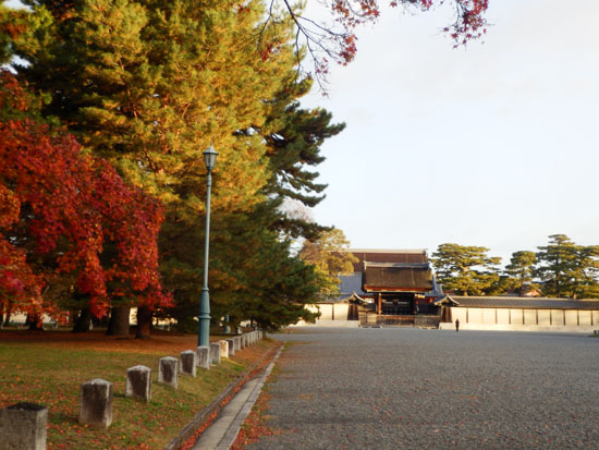 14紅葉めぐり 57　京都御苑　落葉絶景_e0048413_1510394.jpg