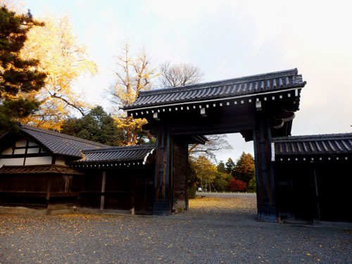 14紅葉めぐり 57　京都御苑　落葉絶景_e0048413_158162.jpg