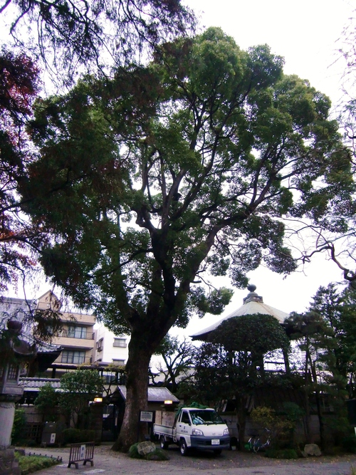 c0219820_19435744.jpg