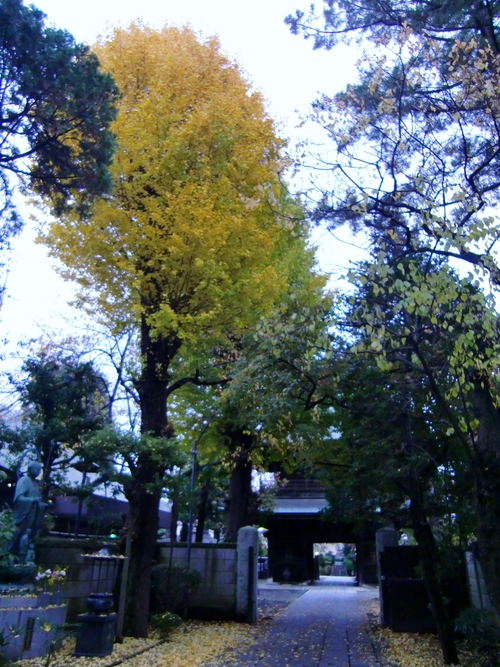 c0219820_19441181.jpg