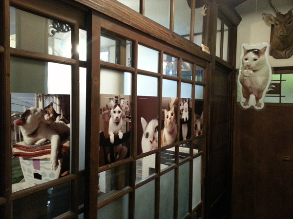 猫いっぱいの癒しのイベント!kachimoさんの「うちの猫ら」カレンダーヴァイキング展へ!_f0357923_15642100.jpg
