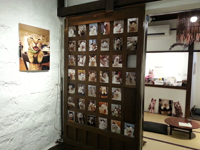 猫いっぱいの癒しのイベント!kachimoさんの「うちの猫ら」カレンダーヴァイキング展へ!_f0357923_1827426.jpg