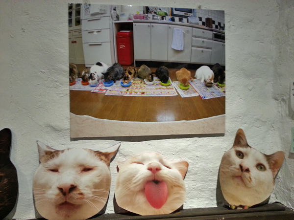 猫いっぱいの癒しのイベント！kachimoさんの「うちの猫ら」カレンダーヴァイキング展へ！_f0357923_2223594.jpg