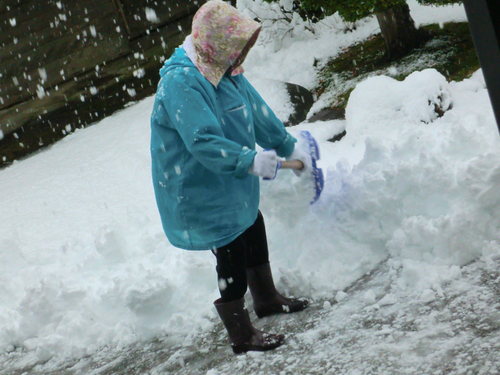 大雪の栗原と母・・・・・・_e0190625_12593467.jpg