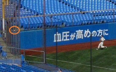 b0166128_10414555.jpg