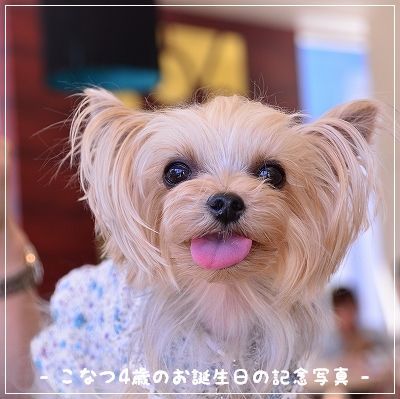 2014年 今年を振り返ってみました。_d0179828_07253368.jpg