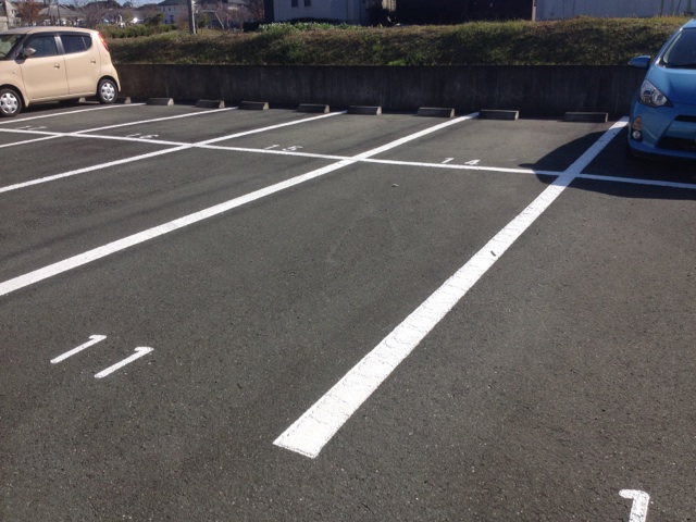グルメ部☆掛川市細田「若虎」_a0253729_15382617.jpg