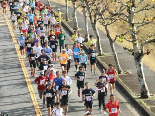 2014成田POPラン大会。～ オイラの走った中の、№1運営ハーフマラソン。タイムはトホホ。_c0022340_19425877.jpg