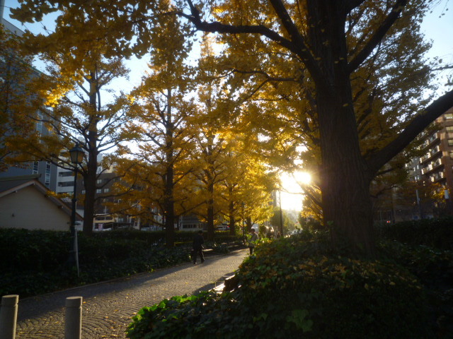 2K減_b0217741_23262564.jpg