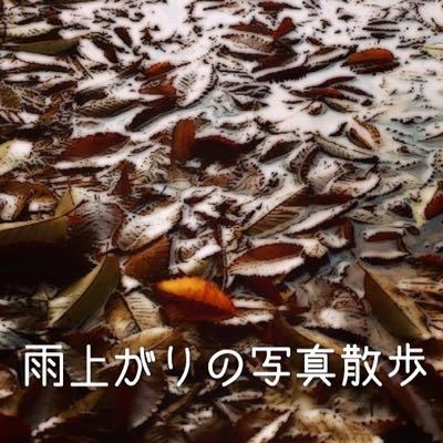 雨上がりの写真散歩_c0060143_8102624.jpg