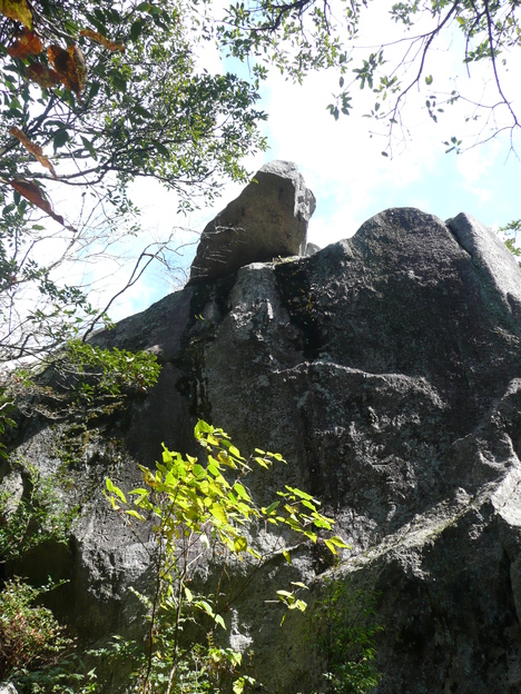 c0125356_0344029.jpg