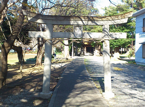 a0057057_17354510.png