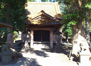a0057057_1736087.png