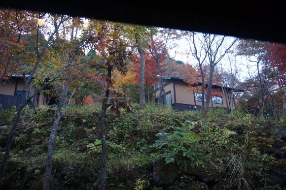 a0201257_02123215.jpg