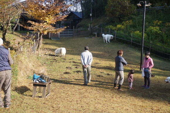 a0201257_02145531.jpg