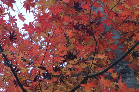 a0201257_02304897.jpg