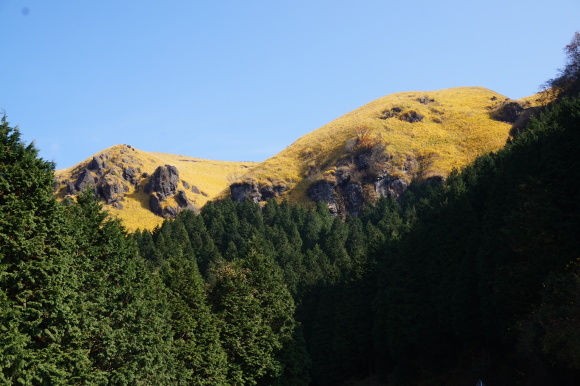 a0201257_02351321.jpg