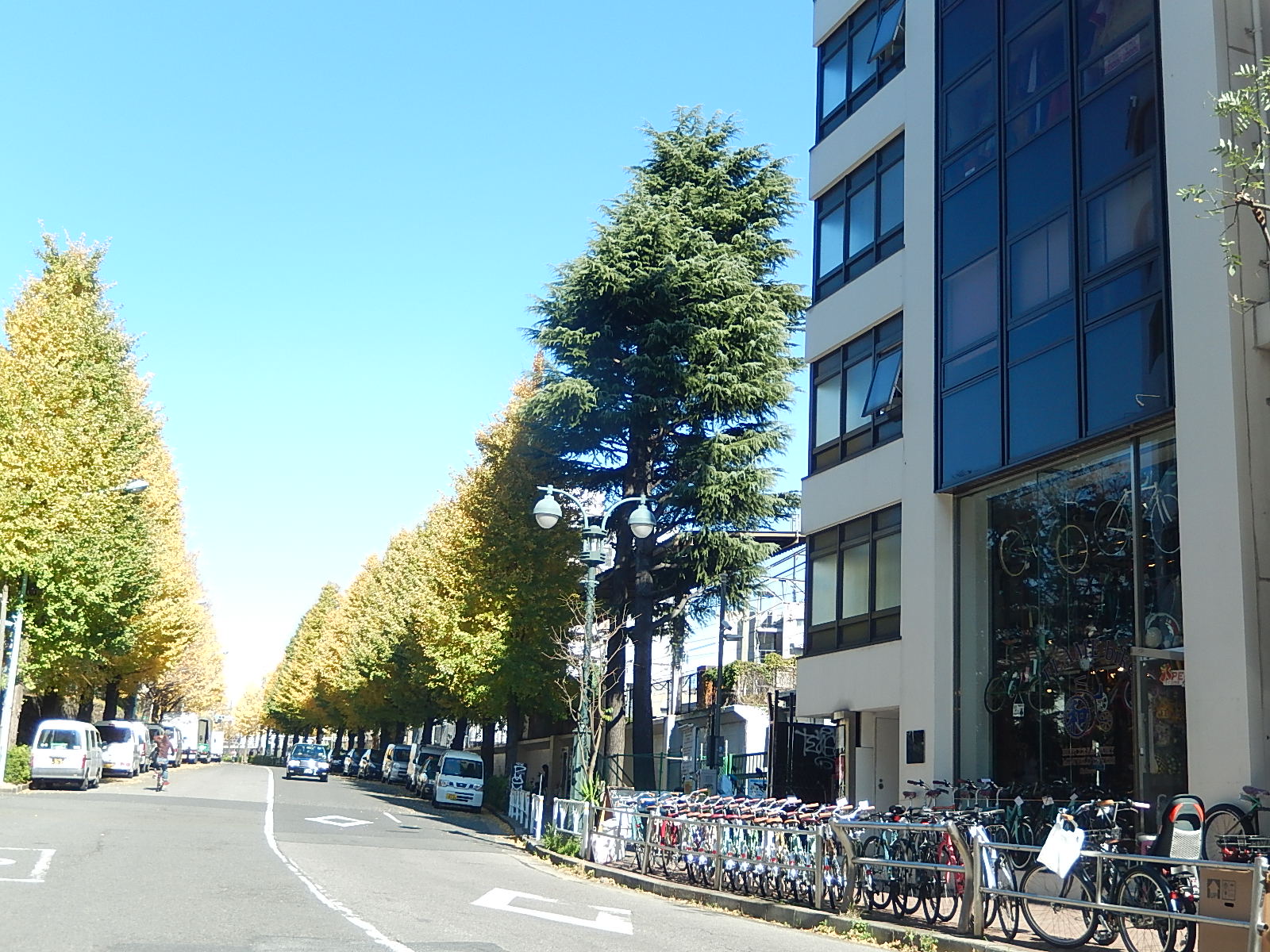 12月3日 渋谷 原宿 の自転車屋 FLAME bike前です_e0188759_1330466.jpg