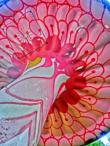 e0045768_228420.jpg