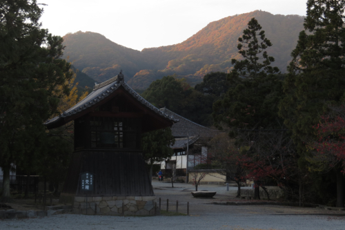 当麻寺　_d0097373_2502841.jpg