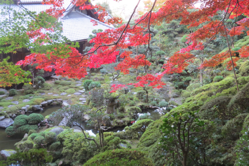 当麻寺　_d0097373_250392.jpg