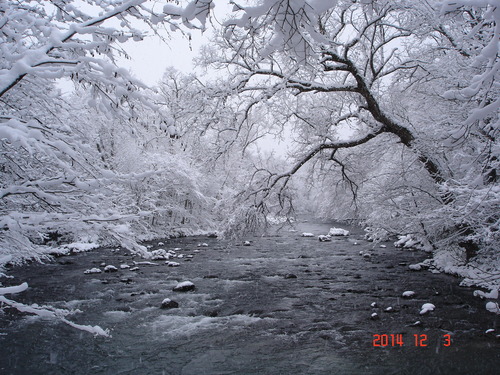 奥入瀬渓流　昨日に続き本日も雪_d0165378_1237788.jpg