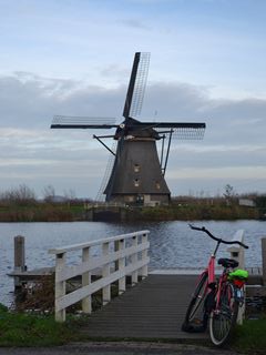 e0203878_4153651.jpg