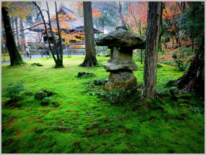 秋雨の三千院（2）_c0036080_23135922.jpg