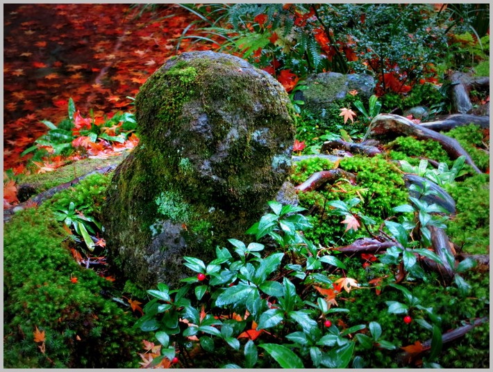 秋雨の三千院（2）_c0036080_23144741.jpg