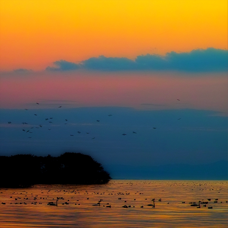 b0227088_7181860.jpg