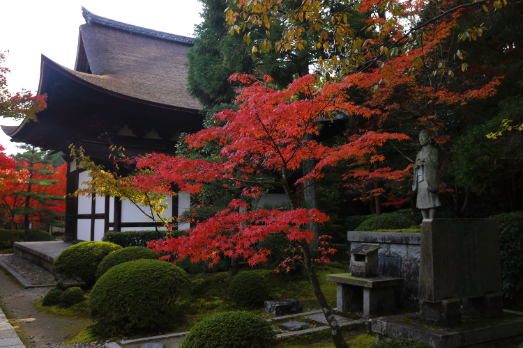 一休寺（酬恩庵）_e0051888_6123756.jpg