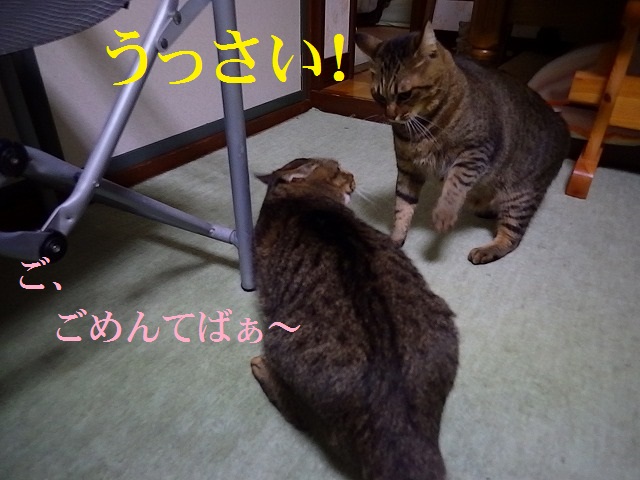 a0159490_18362440.jpg