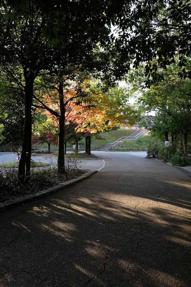 d0069495_23560702.jpg