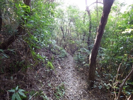 a0125598_22005435.jpg
