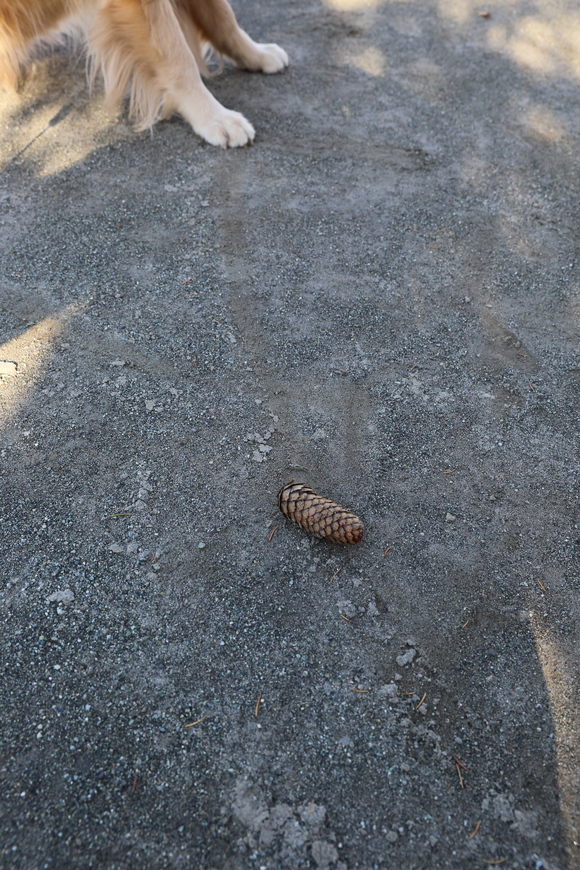 モグラ公園の死闘_b0275998_1563980.jpg