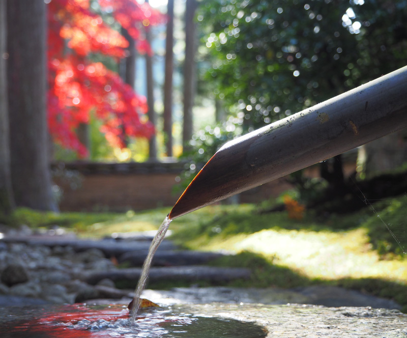 古峯神社古峯園_a0320705_14472805.jpg