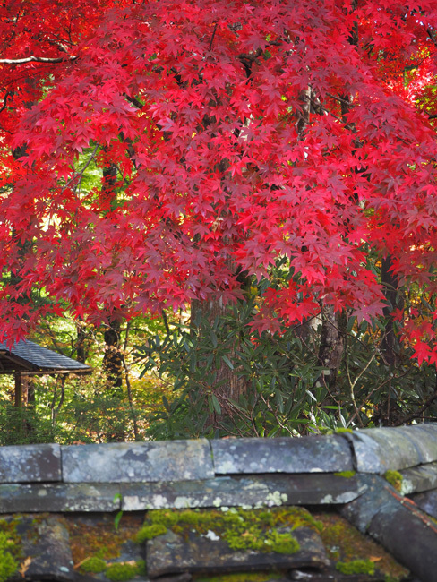 古峯神社古峯園_a0320705_14574734.jpg