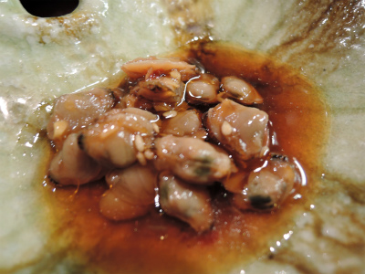 ブリトロ_f0157910_162390.jpg