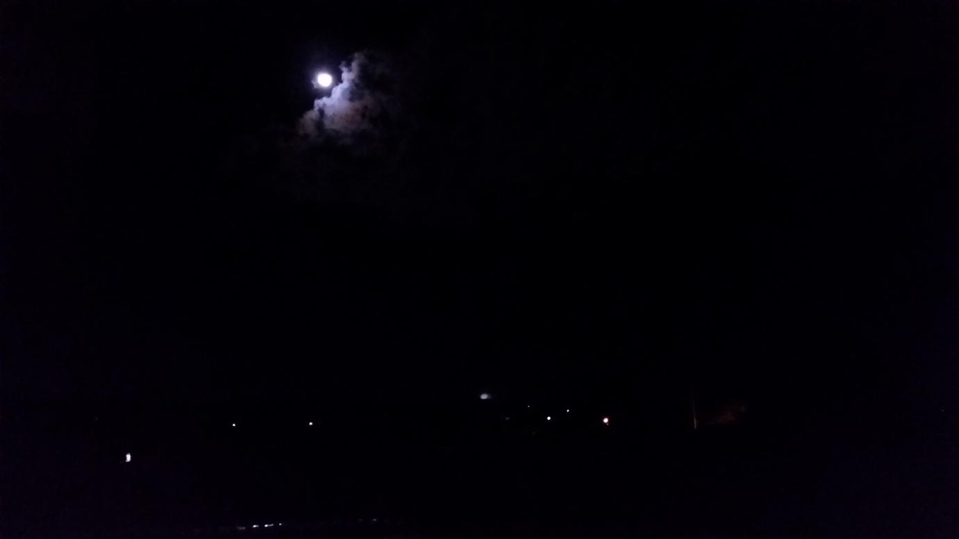f0310010_0122694.jpg