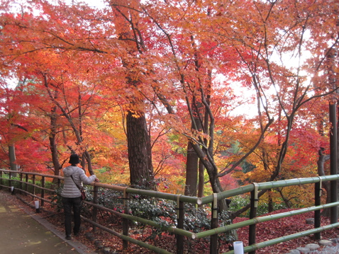 a0164011_22331857.jpg
