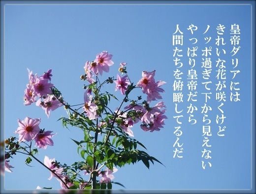 a0216818_2281477.jpg