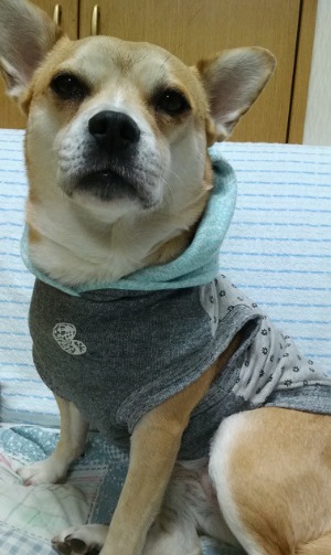 f0300819_2135281.jpg