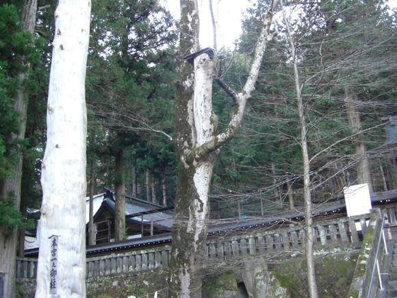 c0074721_1639883.jpg