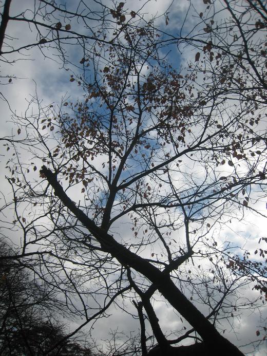 f0166824_21291695.jpg