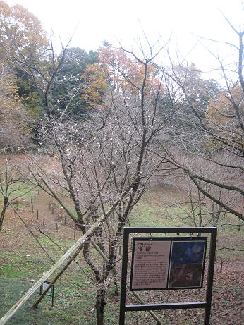 f0166824_2132973.jpg